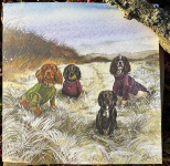 Přání Winter Coats