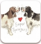 Magnetka Super springers