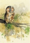 Notýsek v obalu Owl, 9*12 cm