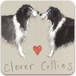 Magnetka Clever collies