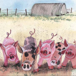 Přání Five little pigs